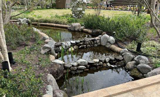 水盤・鑑賞池2